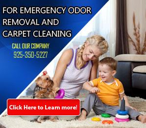 Carpet Cleaning Company - Carpet Cleaning Livermore, CA