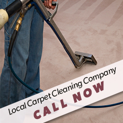 Contact Carpet Cleaning Services