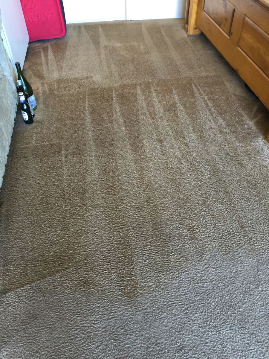 Cleaning Pet Hair - Carpet Cleaning Livermore, CA